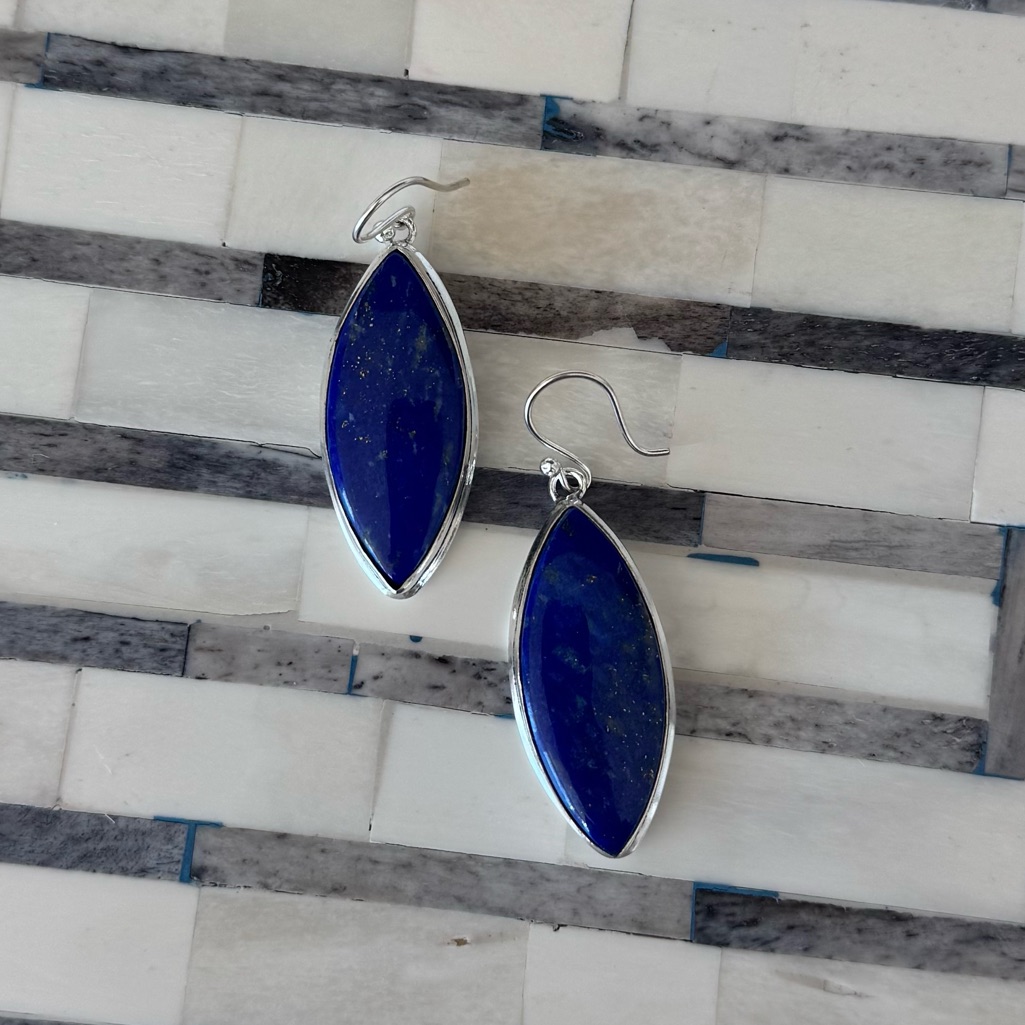 Nwot Tuckernuck Lapis Lazuli Earrings